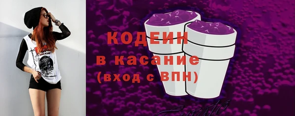 крисы Армянск