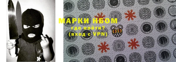 крисы Армянск