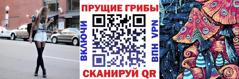 Купить где  Звенигово  Галлюциногенные грибы мухоморы 